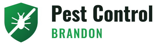 Brandon Pest Control